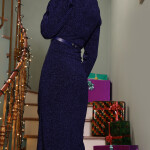 The Festive Dress