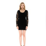 Sheer Sleeve Dress