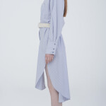 Shirt dress