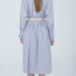 Shirt dress