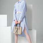Shirt dress